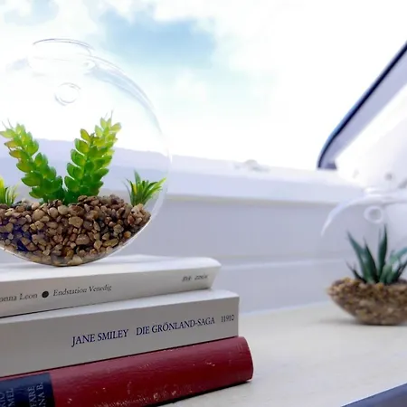 דירה Ferien- Monteurwohnung In צולפיך